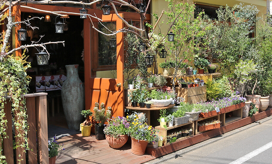 �����ե롼��